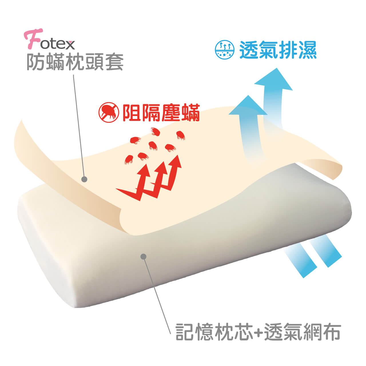 Fotex防蟎肩頸記憶枕 材質結構