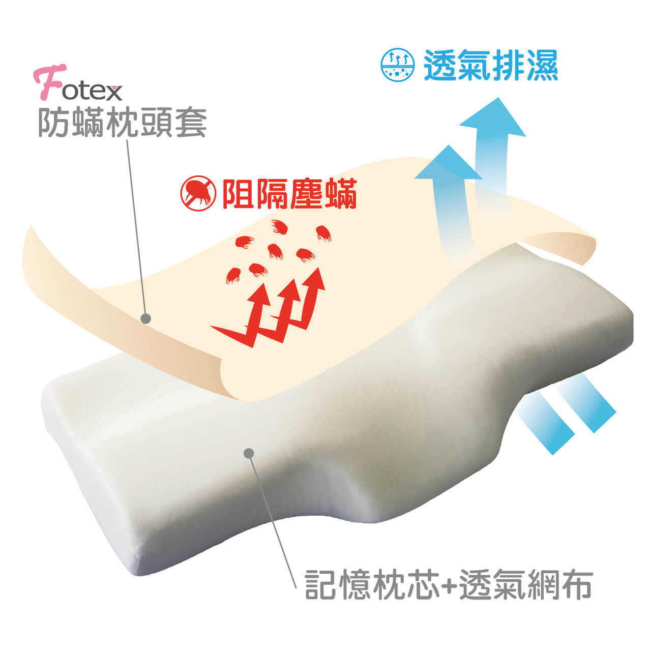 Fotex防蟎肩頸記憶枕 材質結構